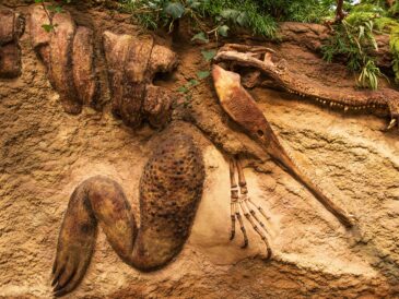 fossil 635079 19 » डायनासोर का रहस्य || How did they became extinct ?